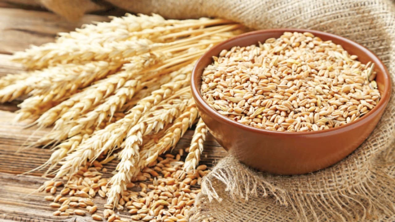 Ekmeklik buğday ihracatı yeniden serbest bırakıldı