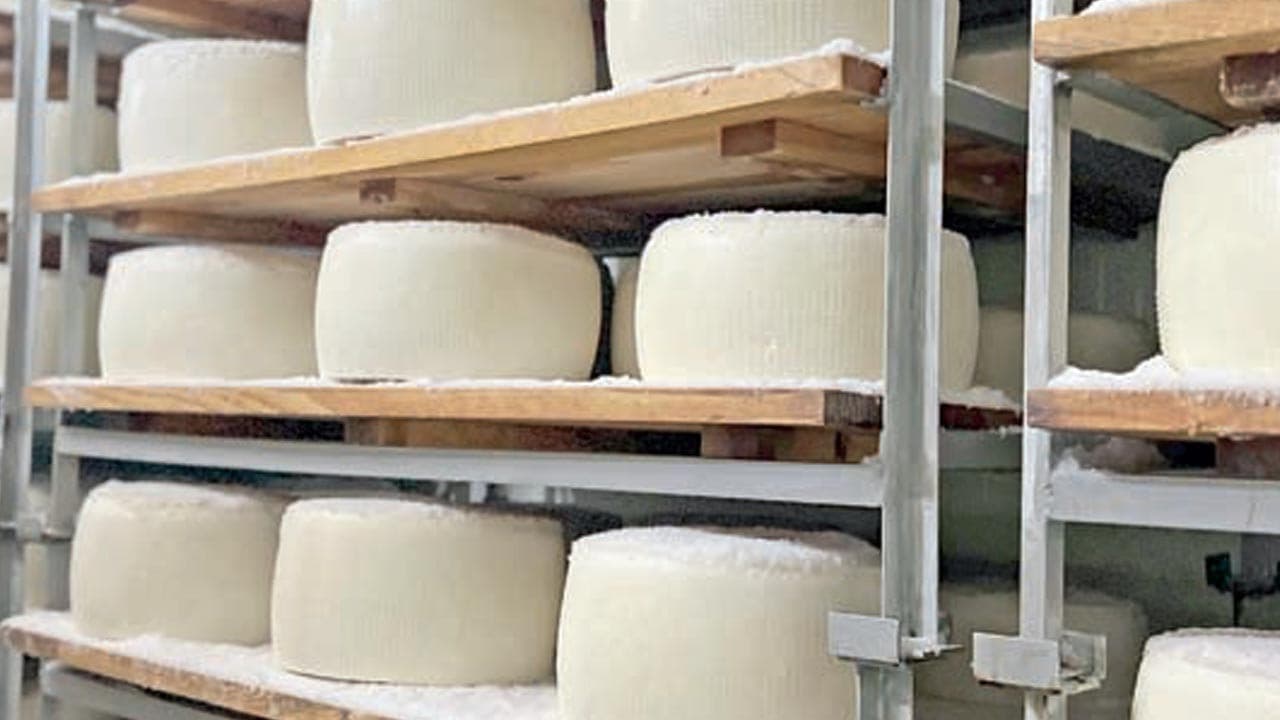 İkinci el çadırdan 10 milyon dolarlık ihracata