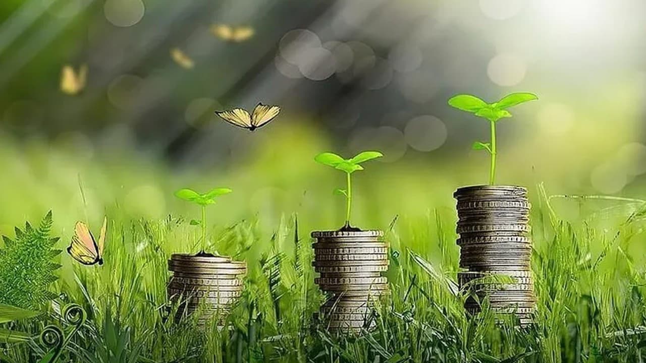 Türkiye'nin yeşil dönüşümü için yıllık 25 milyar dolar gerekiyor