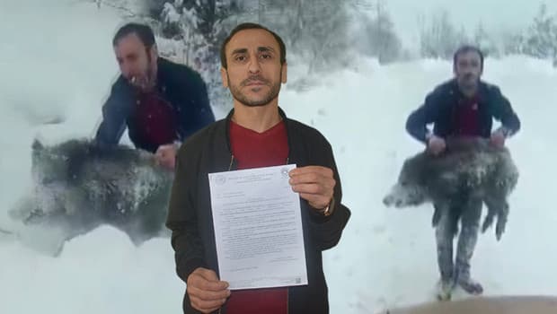 Görüntüsü viral olduktan sonra büyük şok yaşamıştı: Domuzu yakalayan vatandaşla ilgili yeni karar