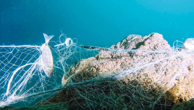 Hayalet ağlar sanata dönüştü