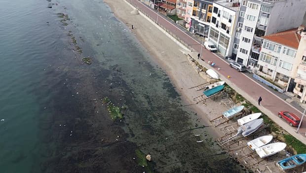 Görenlerin dikkatini çekiyor: Tekirdağ'da denizin çekilmesi sonrası ortaya çıktı