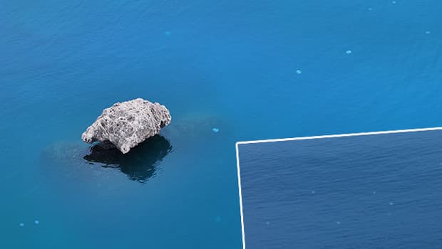 Kızıldeniz üzerinden Antalya kıyılarına geldi: Sürüler halinde geçiş yapıyorlar! 'Hayatımda ilk defa böyle bir şey başıma geldi'