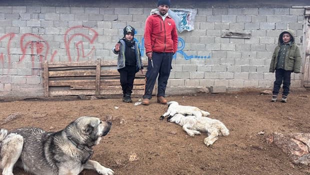 Köyde gizemli olay: Besici hayatının şokunu yaşadı