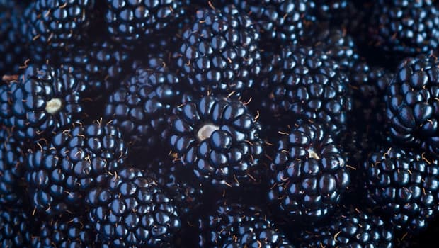 Özel bir diyet ile beyin yaşlanması 2 yıldan fazla yavaşlatıldı! Bu besinleri tüketin