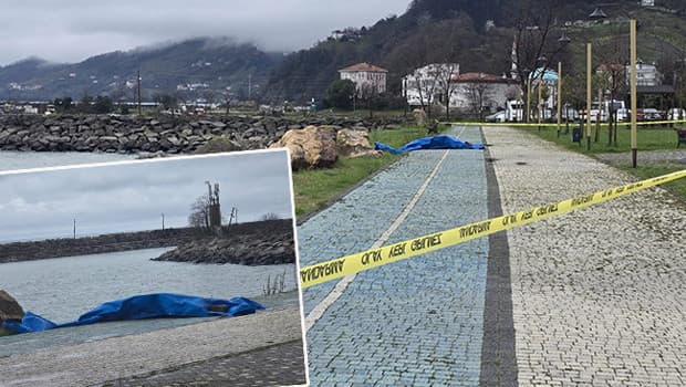 Ordu'nun Fatsa ilçesi sahiline vurdu: Ekipler harekete geçti