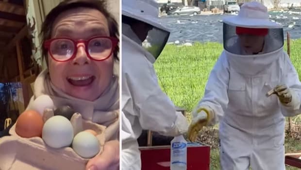 Bir zamanlar dizi setinden film setine koşuyordu: Tavukların yumurtası, kuzuların tüyü gelir kapısı oldu... Sonunda bal işine de girdi