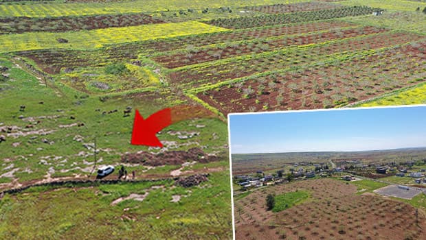 Japonya ve Çin'den ilçeye geliyorlar: Türkiye'de bir ilk olacak! 'İnsanlık tarihinin ortak noktalarından biri, ne kadar sürerse sürsün...'