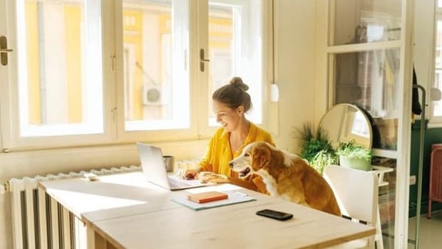 Uzaktan çalışma verimliliği artırıyor