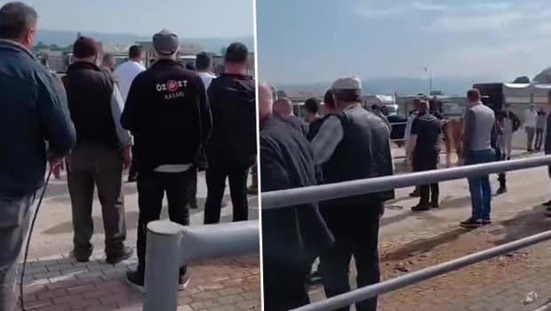 Bursa'da kurban pazarında kavga: Jandarma havaya ateş açtı