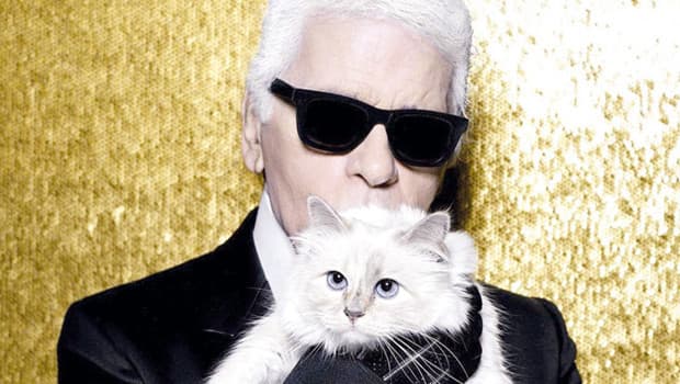 Karl Lagerfeld'in kedisi Choupette mirasını alamadı