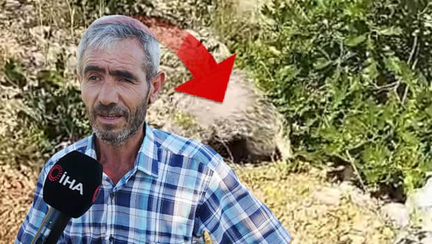 Malatya'da bir vatandaş, bal porsukunu bayılttı