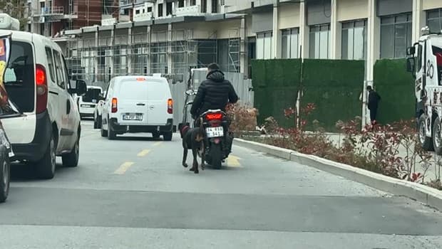 Motosiklete bağlı köpeği koşturan kişiye 8 bin 678 lira ceza kesildi