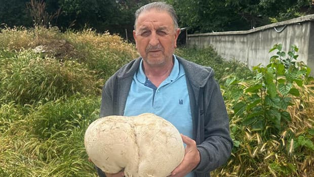 Isparta'da bahçede 3,5 kilo mantar bulundu
