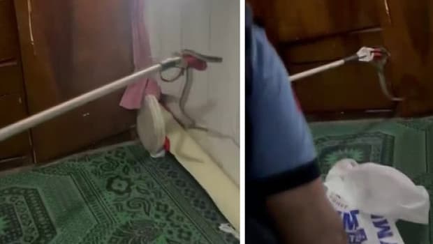 Gaziantep'te bir eve giren yılan itfaiye tarafından yakalandı