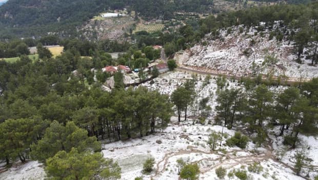 Denizli'de dolu yağışı tarım alanlarına zarar verdi