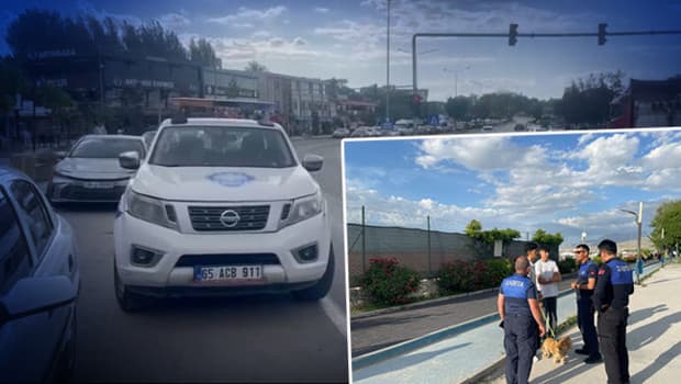 Van'da 7 mahalle karantinaya alındı, kuduz vakası tespit edildi