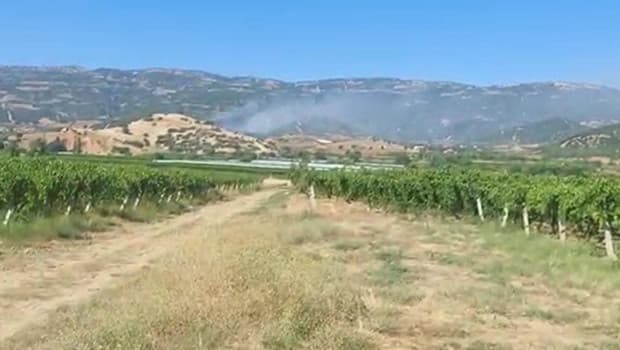 Manisa'da maki yangını ormana sıçradı