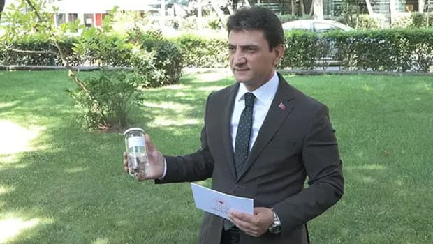 İstanbul'da çekirge istilası yok, çiftçiler zarar görmüyor