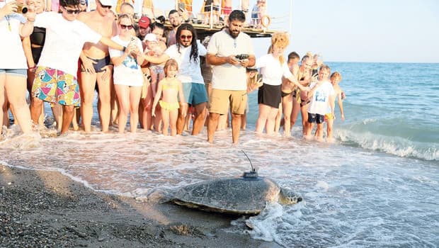 Engelli caretta denizle buluştu
