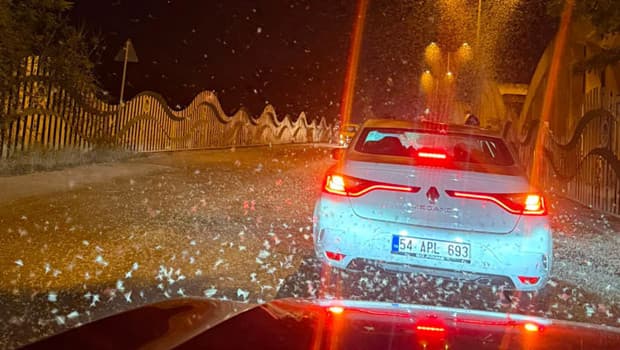 Sakarya'da milyonlarca kelebeğin ölüm olayı tekrar yaşandı