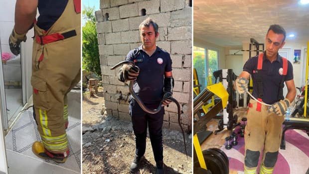 Hatay'da yerleşim alanlarında yılanlar itfaiye tarafından yakalandı