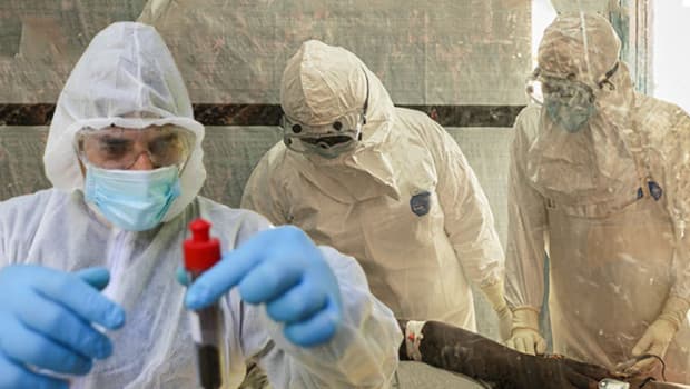 Demokratik Kongo Cumhuriyeti'nde Ebola salgını: 2 bin ölü