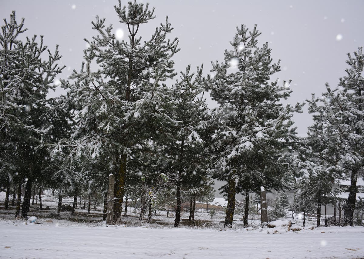 Bahar yerine kar geri geldi
