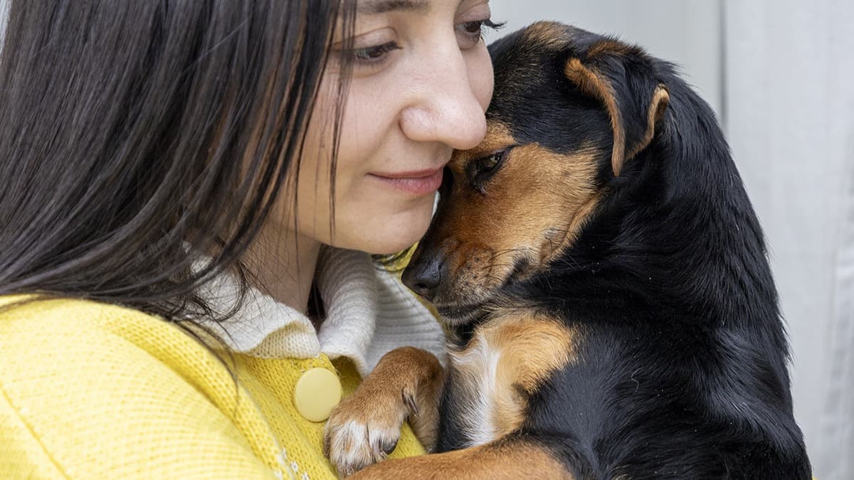 Bu video 30 milyon izlendi. "Hanimiş benim tontişim" ile tanınıyor. "Herkes Boncuk'u görmek için ulaşıyor"