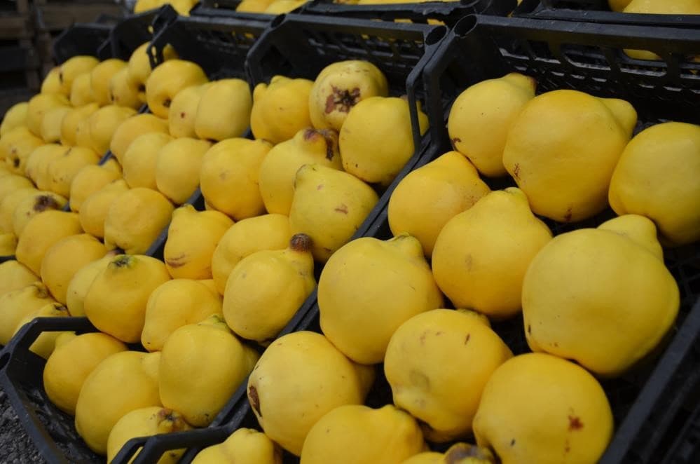 Artık lüks meyveler arasına girdi. Kilosu dudak uçuklatıyor