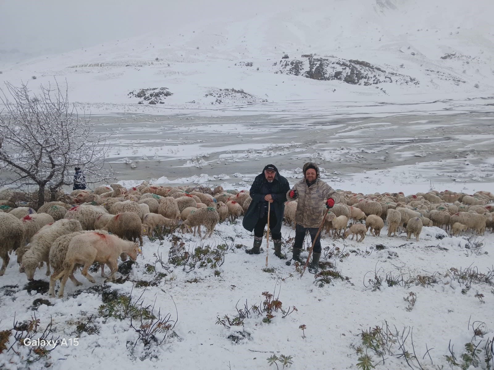 Tipi ve heyelan nedeniyle 2 çoban ve 650 küçükbaş yaylada mahsur kaldı