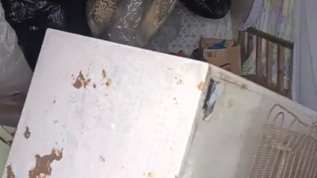 Kaçkar Koçdüzü Yaylası'nda ayı paniği: 20 eve girdi