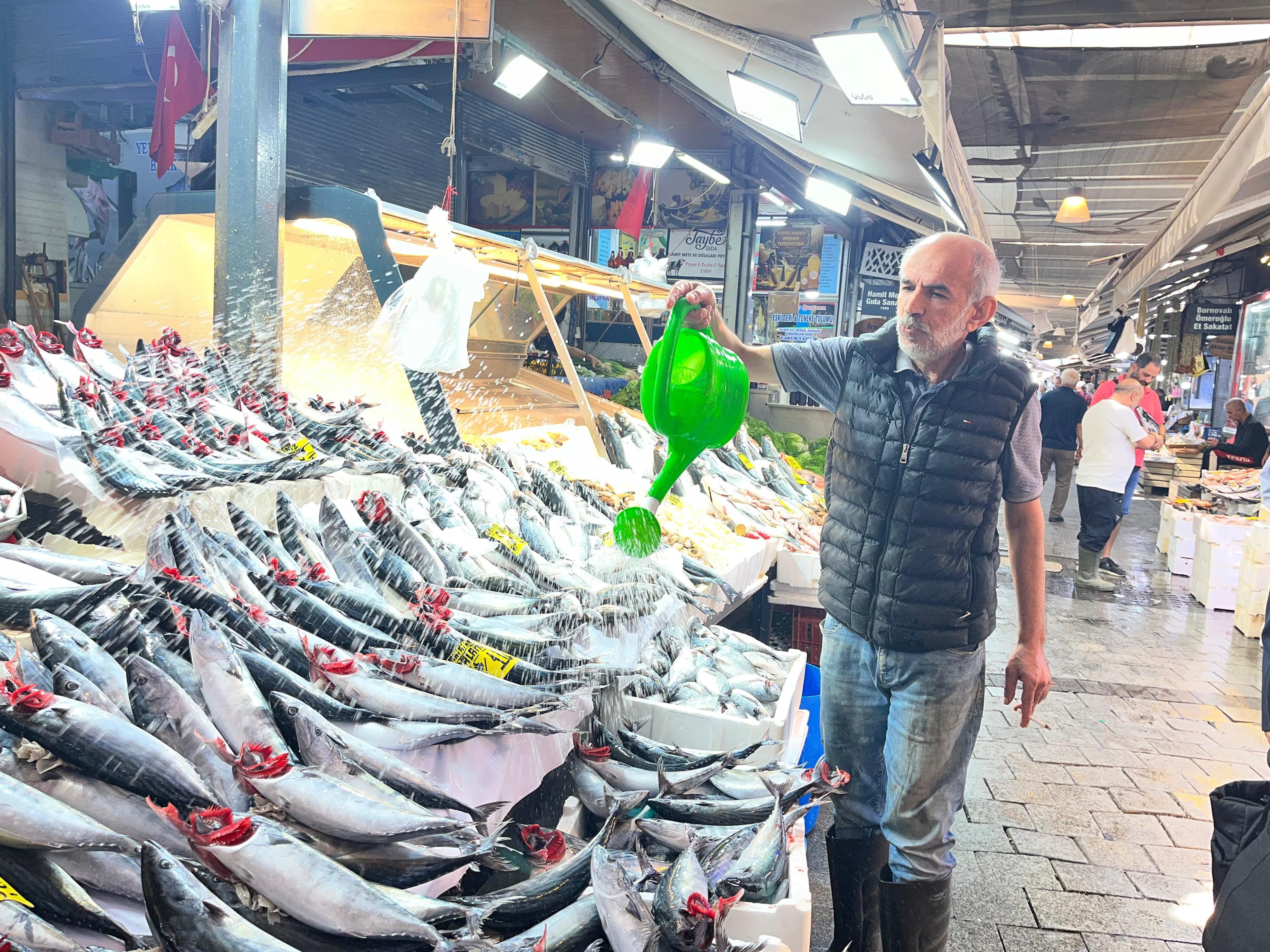 Ege Denizi'nde palamut bolluğu, tanesi 100 liradan satılıyor