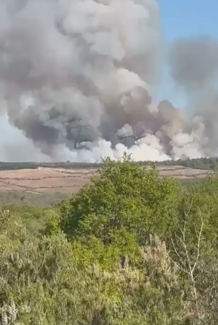 Beykoz'da orman yangını. Havadan müdahaleyle kontrol altına alındı