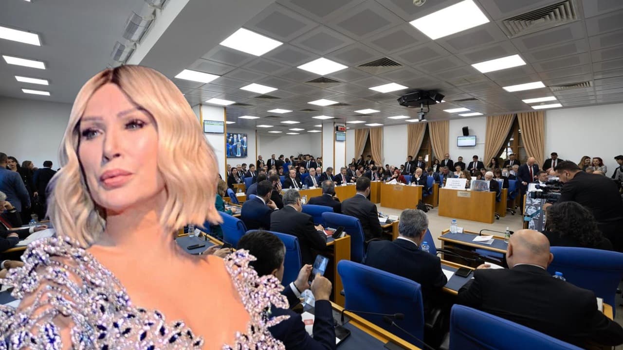 Meclis'te Seda Sayan ile ilgili tartışma