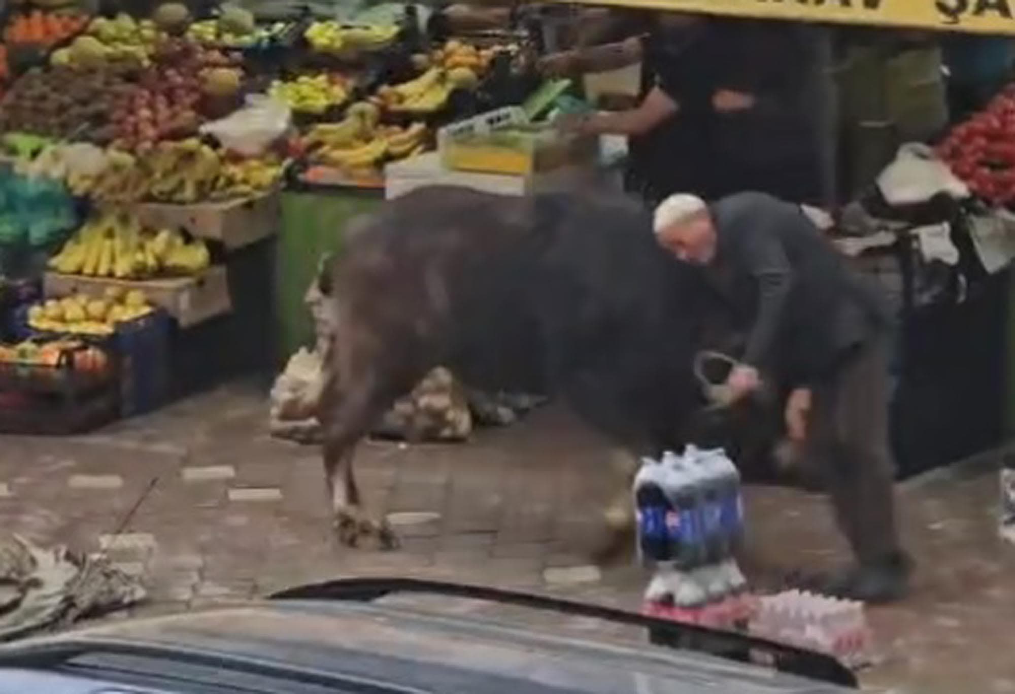 Kaçan manda, yürüyen bir kişiye saldırdı