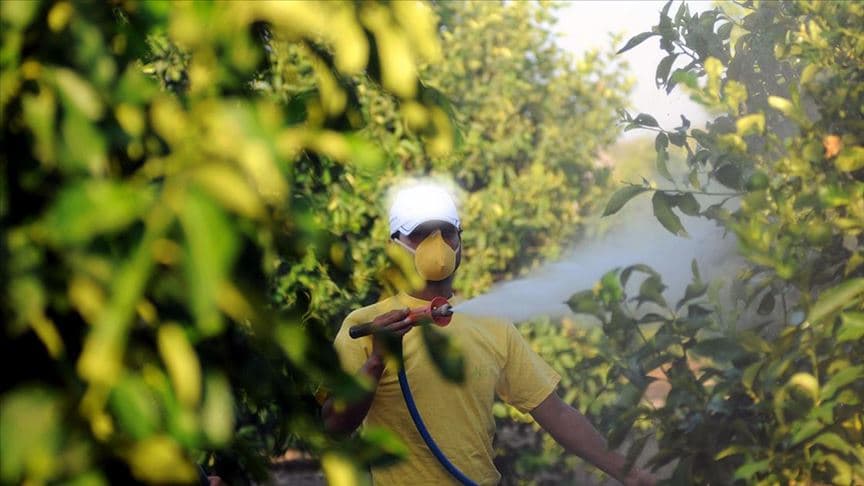 Bitkiye ilaç artık reçeteyle alınacak. 5 soruda "B-Reçete" uygulaması