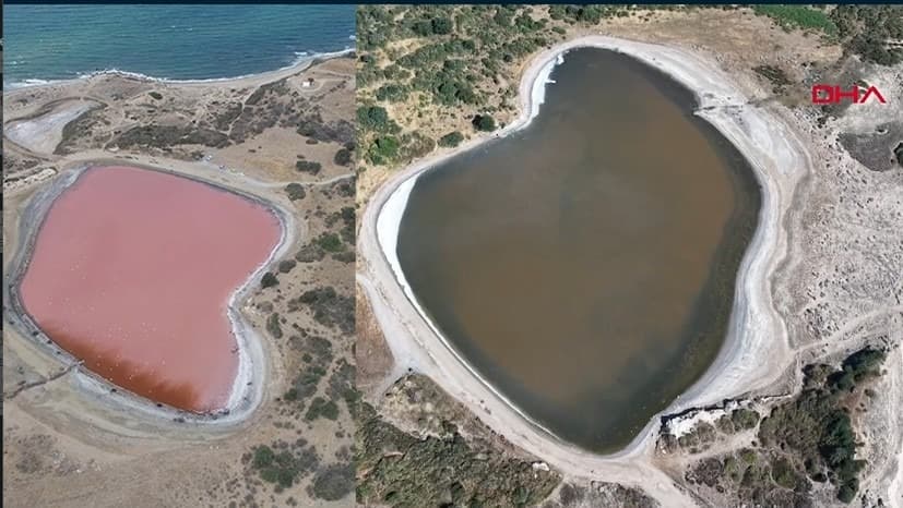 Kalpli Göl bu yıl pembeye dönüşmedi, uzman nedeni açıkladı
