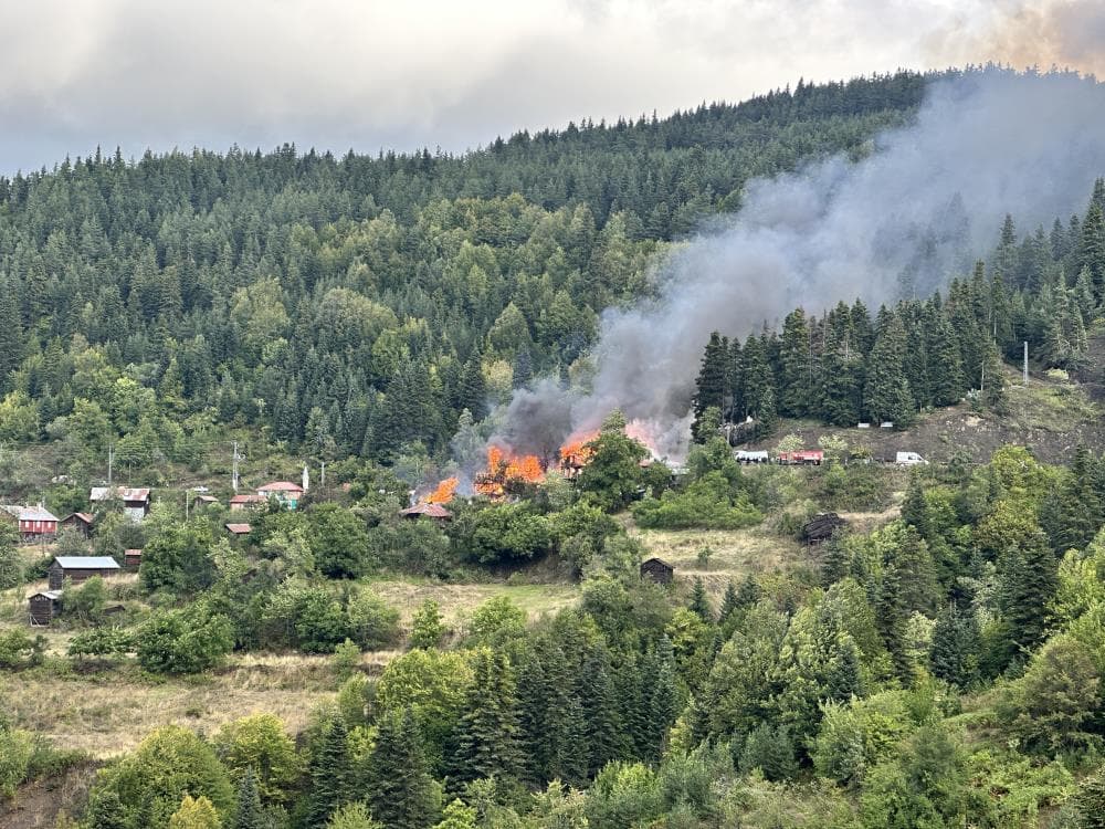 Kastamonu'da köyde çıkan yangında 10 ev yandı