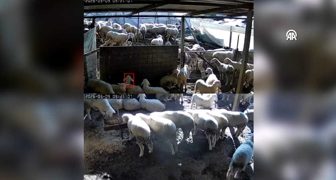 Denizli’de 5.1 büyüklüğündeki deprem anı kamerada