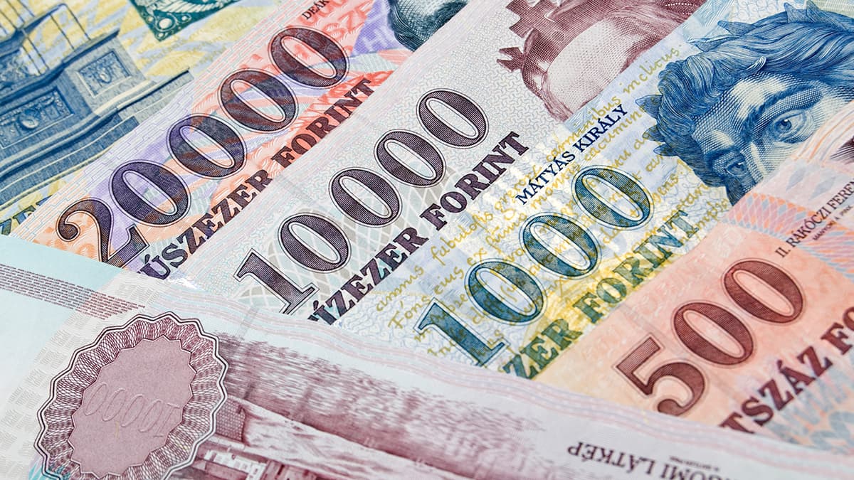 Macaristan 2030'da euroya geçmeyi planlıyor