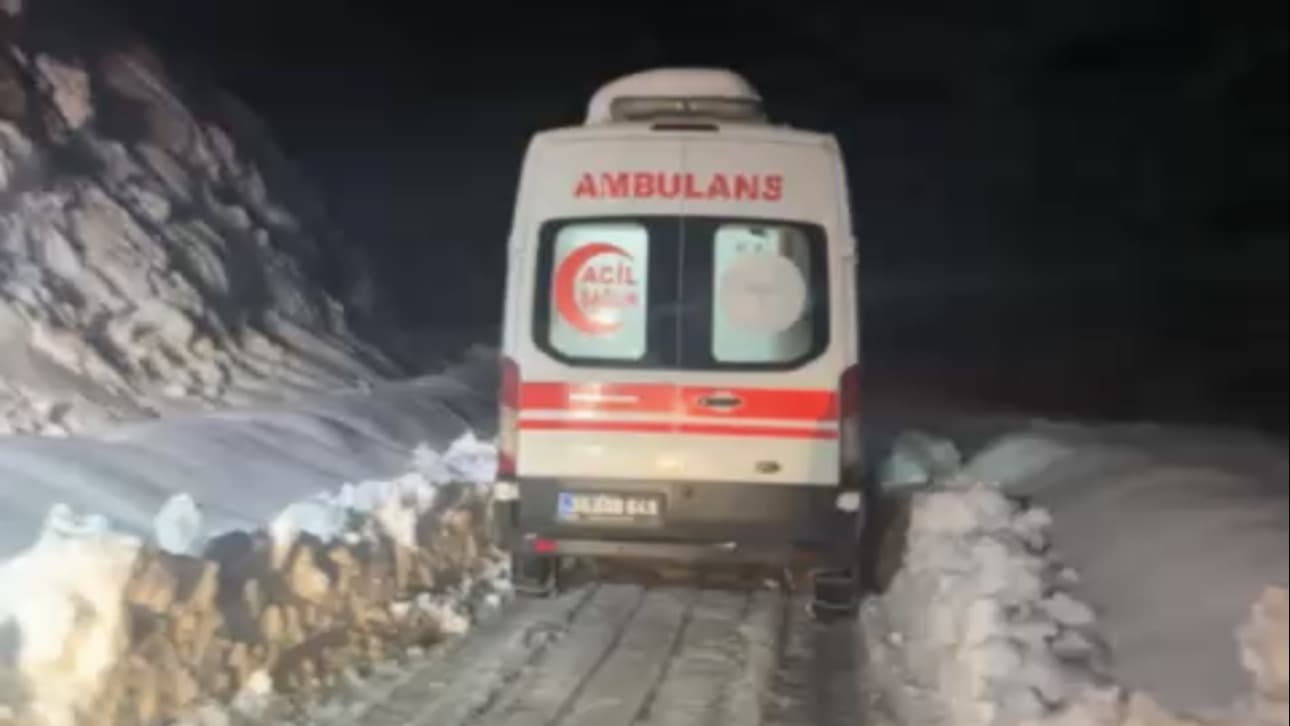 Hakkari'de sobadan sızan gaz aileyi hastanelik etti