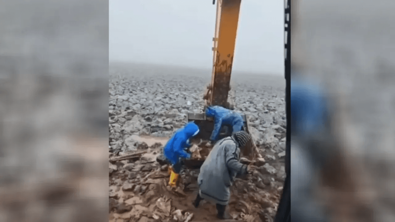 Çamura saplanan inek kepçe yardımıyla kurtarıldı