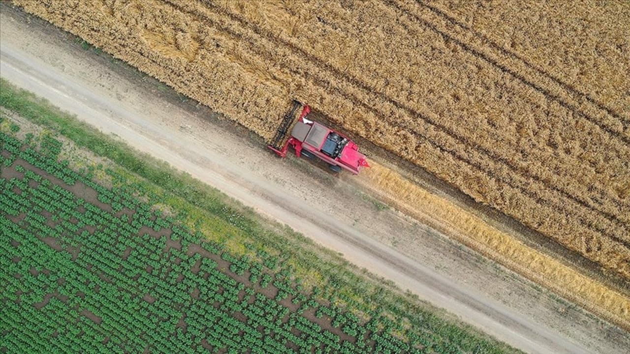 Tarım ÜFE 3 ayın en düşüğünde