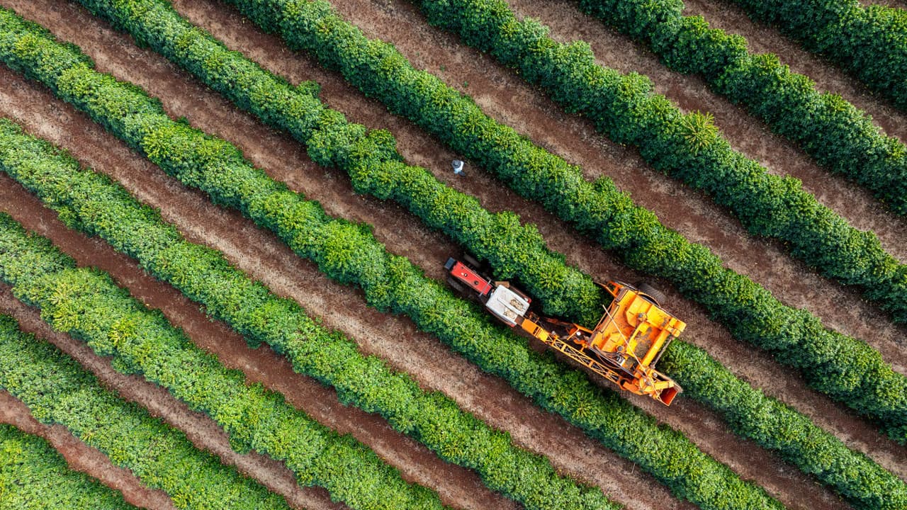 Tarım sezonunun ilk yarısında yağışlar 38 yılın zirvesine çıktı