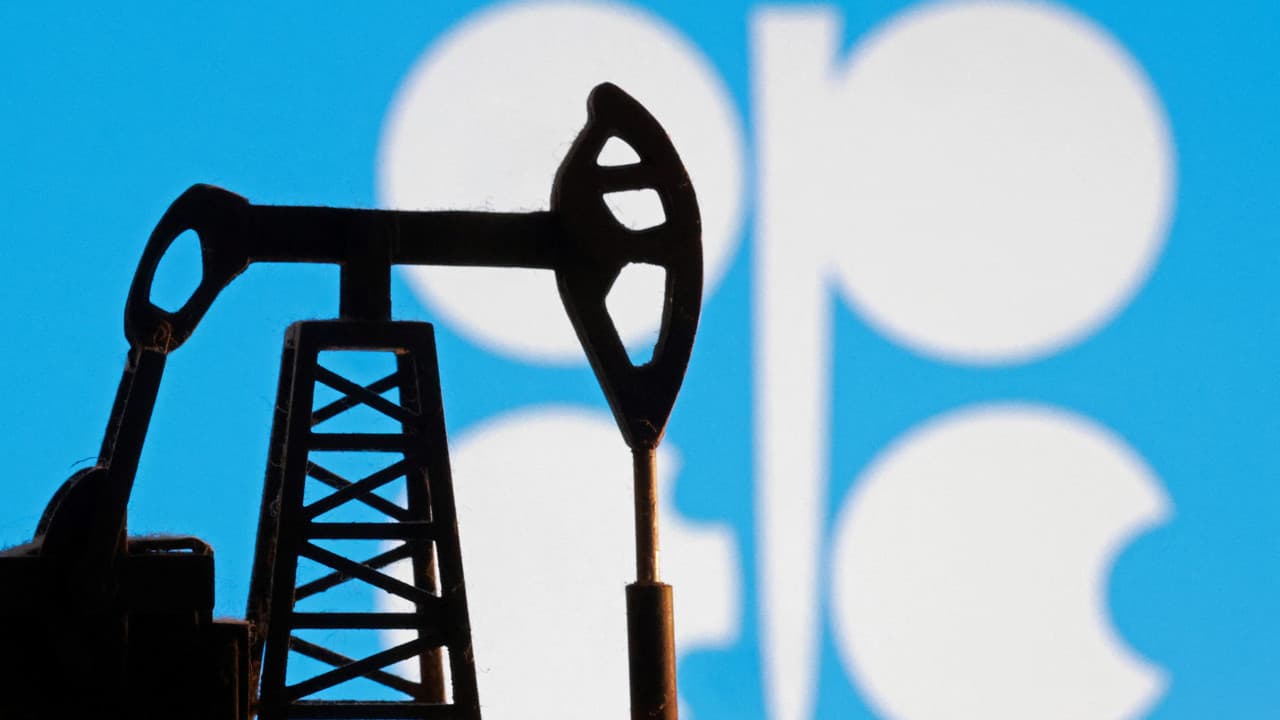 Birleşik Arap Emirlikleri OPEC'ten ayrılma kararı aldı