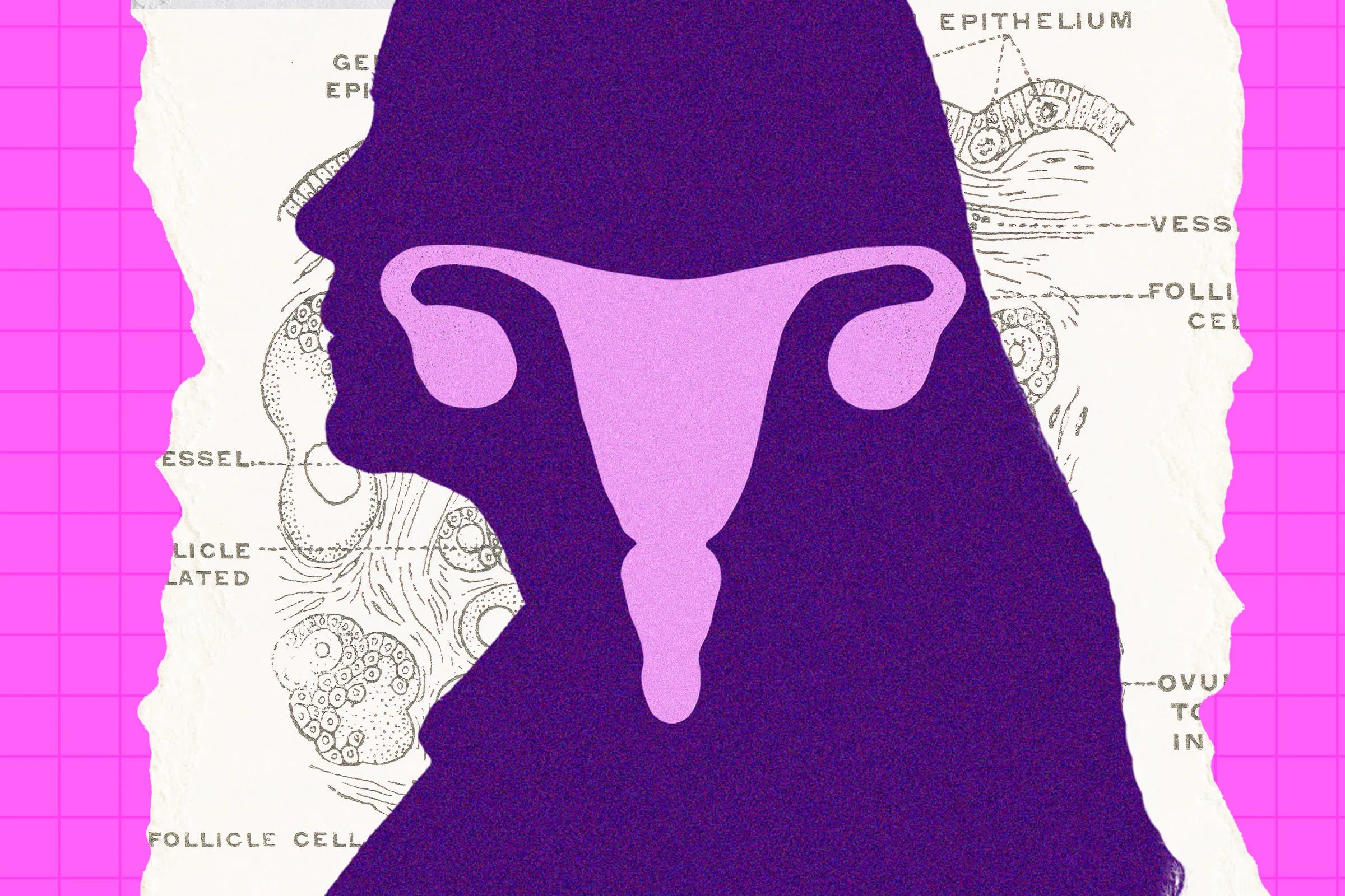 Research Reveals Ovaries Remain Active Post-Menopause, Prompting Further Study