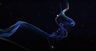 Venüs Kuşağı: Işığın Canlı Hâli