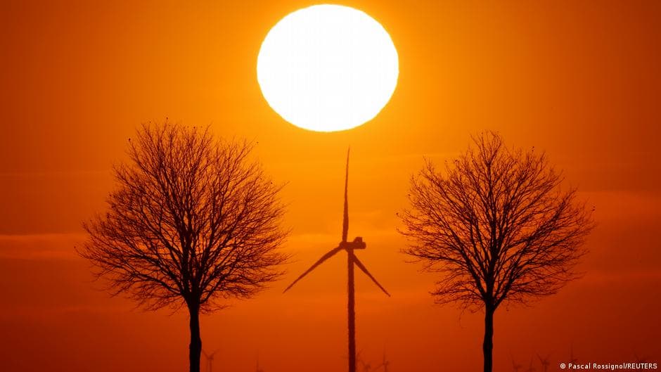 Weekly Highlights of Positive Environmental Developments