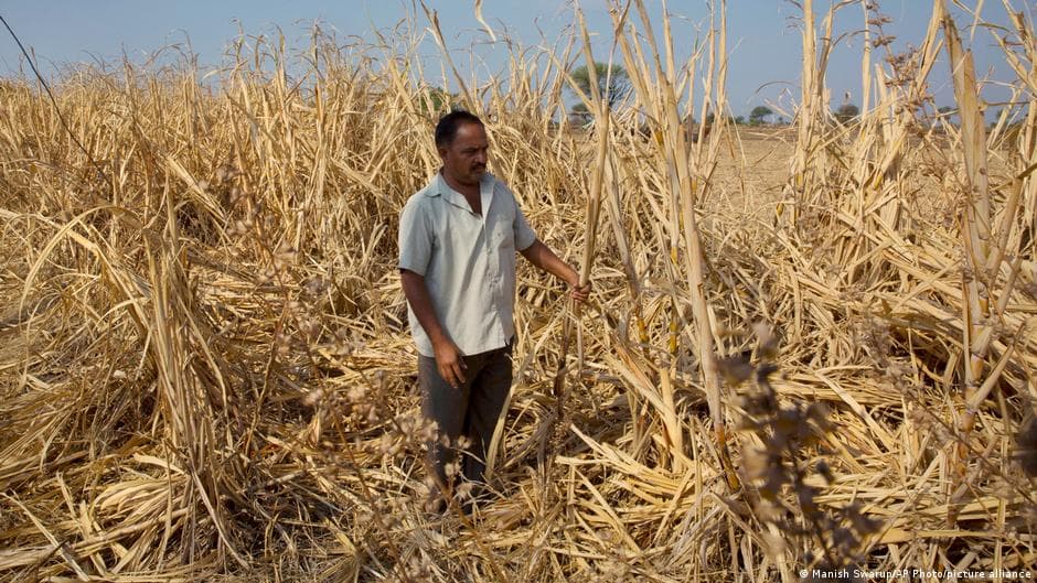 India Prepares for Potential Drought Amid El Nino's Impact on Monsoon